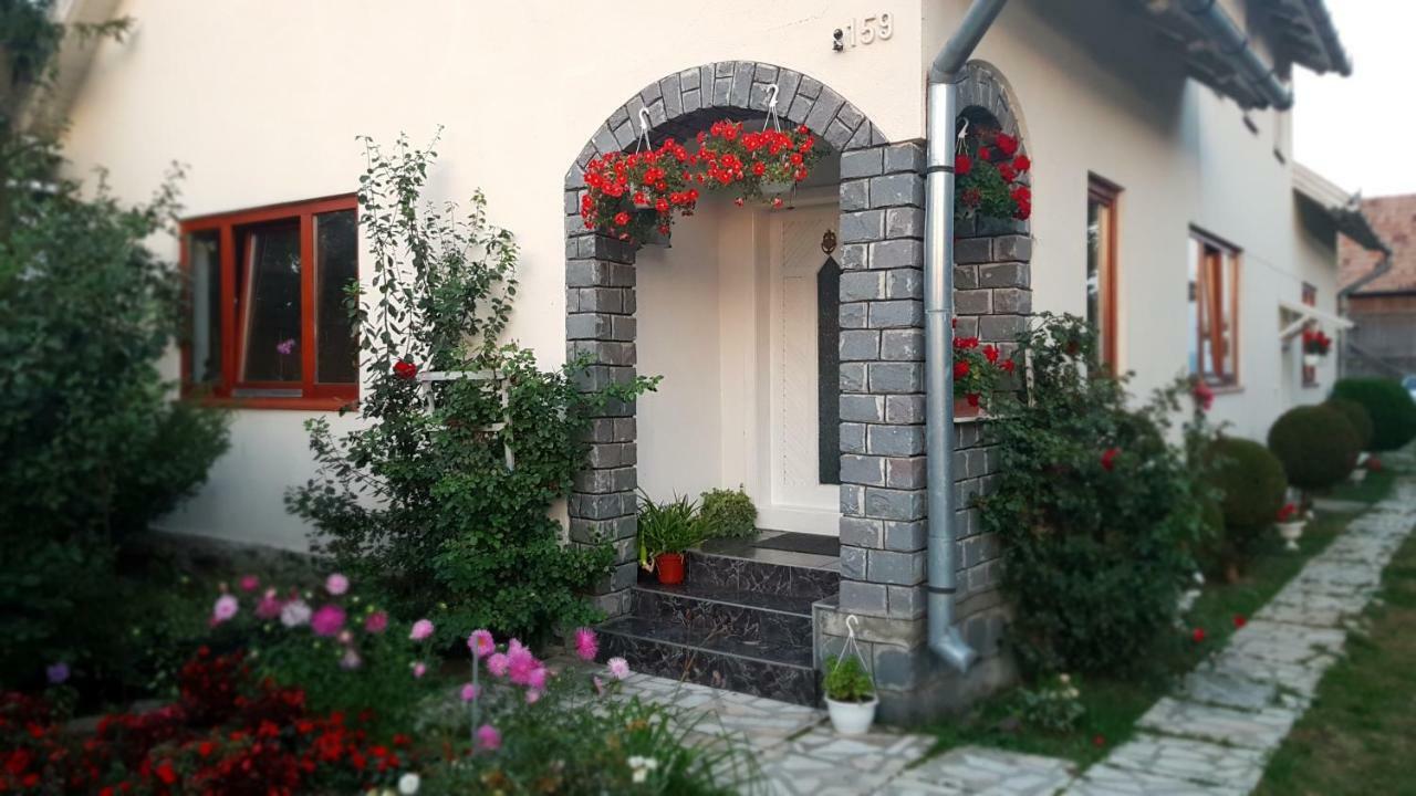 Ciumani Rita Vendeghaz 아파트 외부 사진