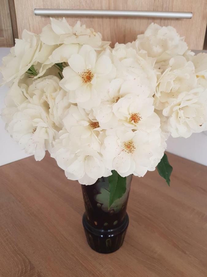 Ciumani Rita Vendeghaz 아파트 외부 사진
